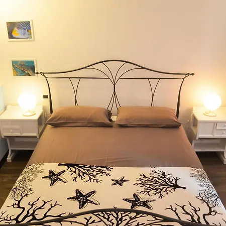 Demivie 招待所 莱里奇