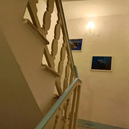 Demivie 招待所 莱里奇